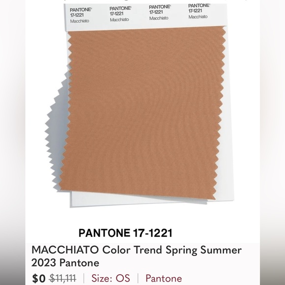 JIMMY CHOO
NWT 55mm Designer Sunglasses - Picture 7 of 9